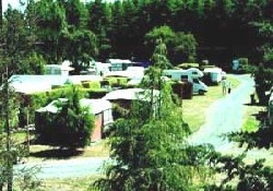 Picture of Rakaia River Holiday Park, Canterbury