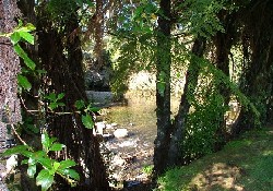 Picture of Sapphire Springs Holiday Park, East Cape