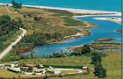 Picture of Haast Beach Holiday Park, Westcoast