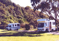 Picture of Camp Elsdon, Wellington