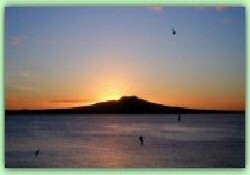 Picture of Takapuna Beach Holiday Park, Auckland