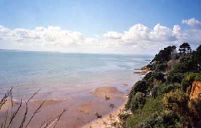 Picture of Big Bay Motor Camp &amp; Fishing Lodge, Auckland