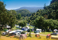 Picture of Kauri Coast Top 10 Holiday Park &amp; Motels, Northland