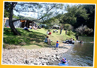 Picture of Kauri Coast Top 10 Holiday Park &amp; Motels, Northland