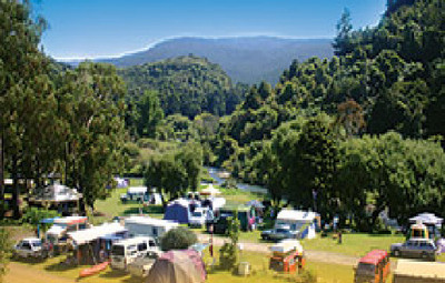 Picture of Kauri Coast Top 10 Holiday Park &amp; Motels, Northland