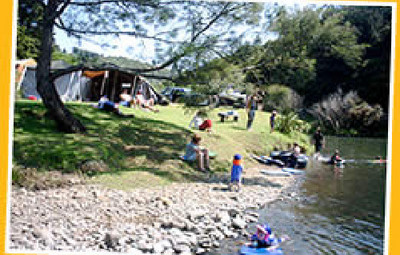 Picture of Kauri Coast Top 10 Holiday Park &amp; Motels, Northland