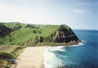Picture of Waipatiki Beach Farm Park, East Cape
