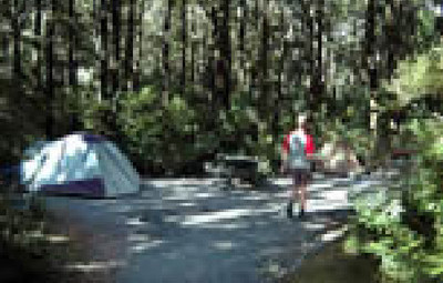 Picture of Milford Sound Lodge, Southland