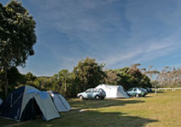 Picture of Raglan Kopua Holiday Park, Waikato
