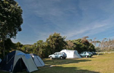 Picture of Raglan Kopua Holiday Park, Waikato