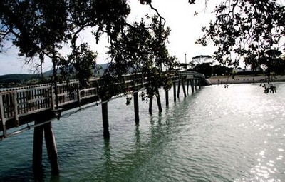 Picture of Raglan Kopua Holiday Park, Waikato