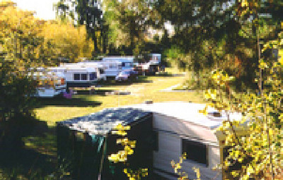 Picture of Millers Flat Holiday Park, Southland