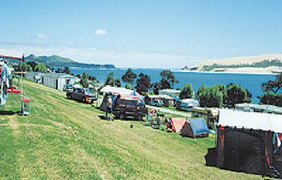 Picture of Opononi Beach Holiday Park, Northland