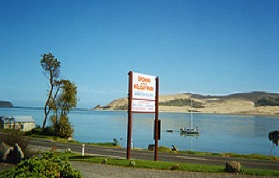 Picture of Opononi Beach Holiday Park, Northland
