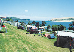 Picture of Opononi Beach Holiday Park, Northland