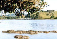 Picture of Whananaki North Motels &amp; Holiday Park, Northland