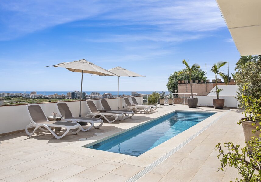 Swimming pool solarium