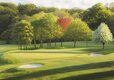 Tranquil Golf Club Surrounded by Lush Greenery