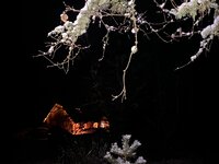 0a3fdb3d-f4aa-4e07-8932-a9a686cb7793