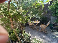 Courtyard garden