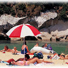 Picture of Kaiteriteri Beach Motor Camp, Nelson