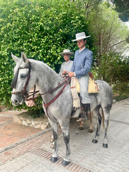 Mijas villa fair