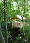Papple Wood Shelter