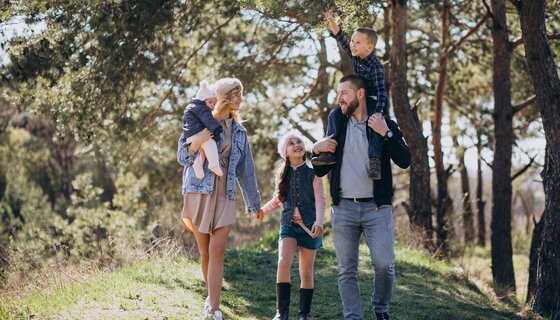 Family Holiday Rentals 