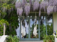 ditchling house -1