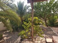 18403-villa-for-rent-in-arboleas-458510-xml