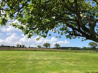 Views across the garden to the Norfolk Countryside