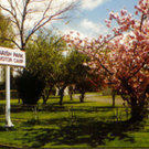 Picture of Balclutha Camping Ground, Otago