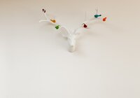 lynseymelvillephotography  Wadelea_Web_61