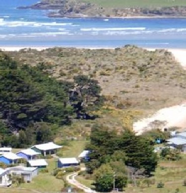 Picture of Newhaven Holiday Park, Otago