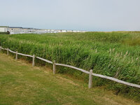 View from Seal Bay Retreat