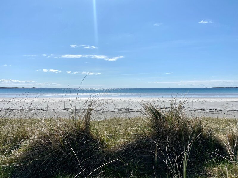 07F64327-4BE7-457A-8A7E-AFB777823E31