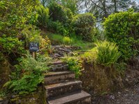 Access to the shared back garden with views of Windermere