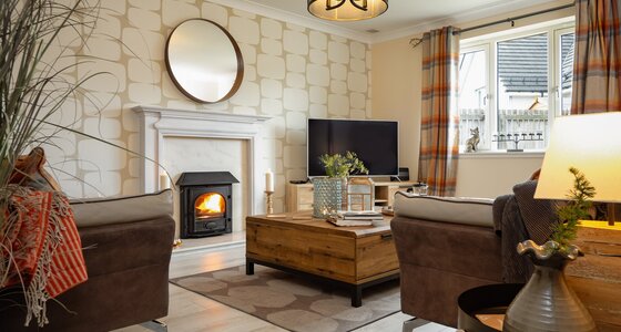 Aviemore Lodge with hot tub - Eagle Lodge - The modern lounge at Eagle Lodge. Relax in your very own Highland lodge.