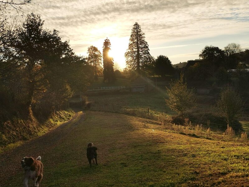 Dog friendly villa, walking distance to nearest restaurant