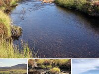 4677FFFE-DAED-4658-94C6-E8FDB52E1D34