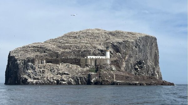 Visit Bass Rock in East Lothian - A large rock jutting out of the sea surrounded with birds and a lighthouse.