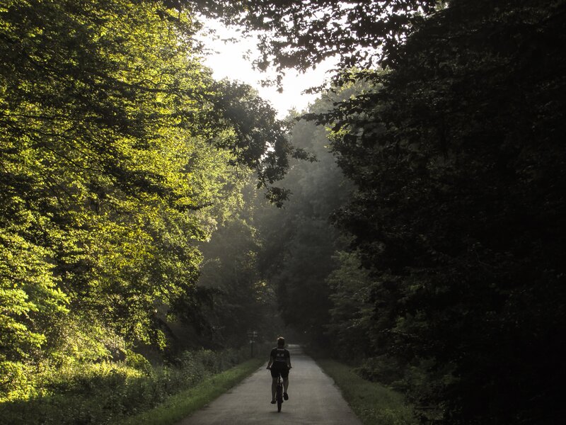 Cyclist on a cycle path (© David Gabrić on Unsplash)