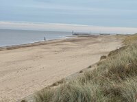 IMG_2603