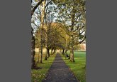 Meadows in Autumn 2