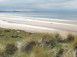 Gullane Beach in East Lothian - Grasses in the foreground, with golden sands and blue water in the background. (© Beach, Gullane Point by Richard Webb, CC BY-SA 2.0 <https://creativecommons.org/licenses/by-sa/2.0>, via Wikimedia Commons)