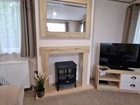 TV and Fireplace