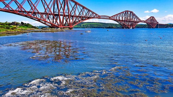 Forth rail bridge in South Queensferry - A view of the iconic Forth Rail Bridge from Fife to Edinburgh (© Andrew Buchanan Unsplash)