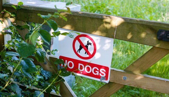 Pet-free holiday homes in Scotland - A No Dogs sign on a fence. (© Rodion Kutsaiev)