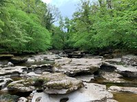 River Eden in Stenkrith Park.