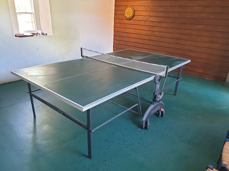 Table tennis in games room